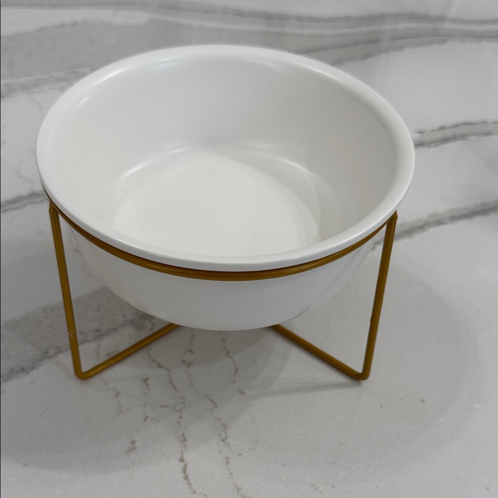 Elevated Dog Bowl with Gold Stand